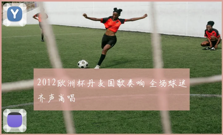 2012欧洲杯丹麦国歌奏响 全场球迷齐声高唱