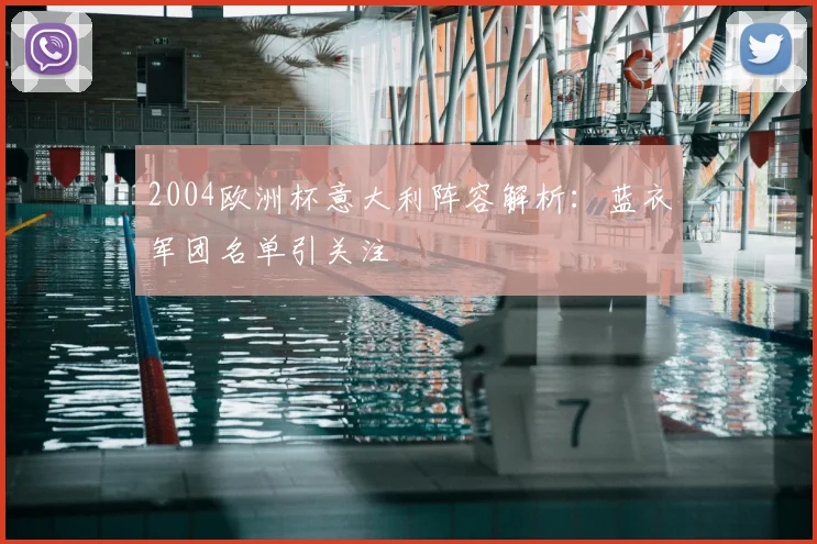 2004欧洲杯意大利阵容解析：蓝衣军团名单引关注
