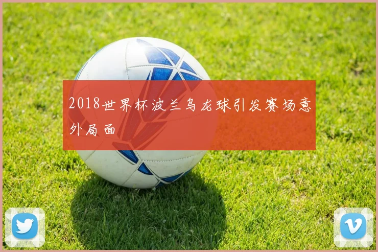 2018世界杯波兰乌龙球引发赛场意外局面