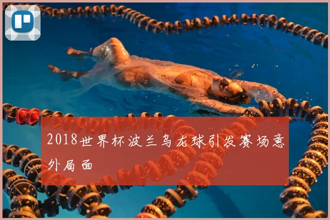 2018世界杯波兰乌龙球引发赛场意外局面