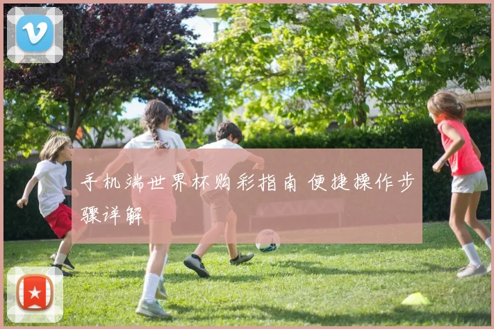 手机端世界杯购彩指南 便捷操作步骤详解