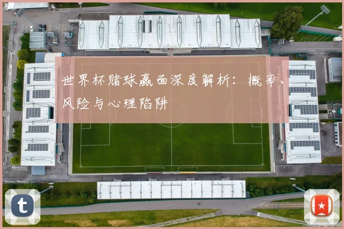 世界杯赌球赢面深度解析：概率、风险与心理陷阱